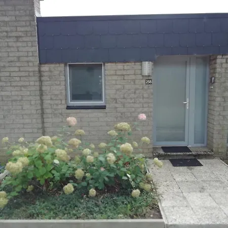Triplex Pola